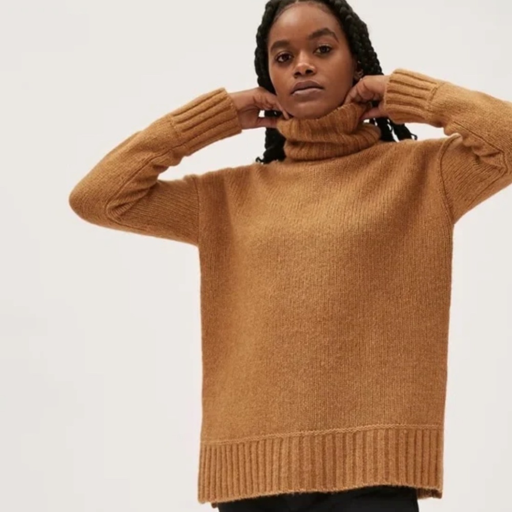 Everlane The Cloud Turtleneck Wool Alpaca Blend Chunky Knit Sweater